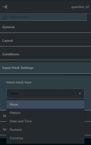 Input mask types