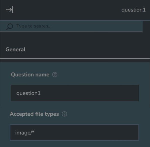 Survey Designer - Accepted file types